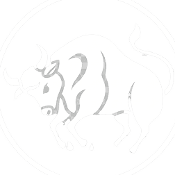 Taurus
